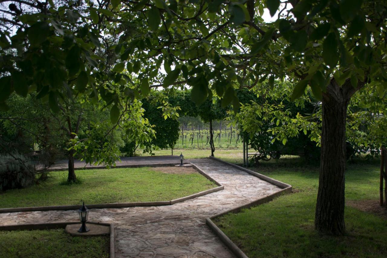 Sanja Apartments Sveti Servul Novigrad Istria Eksteriør billede