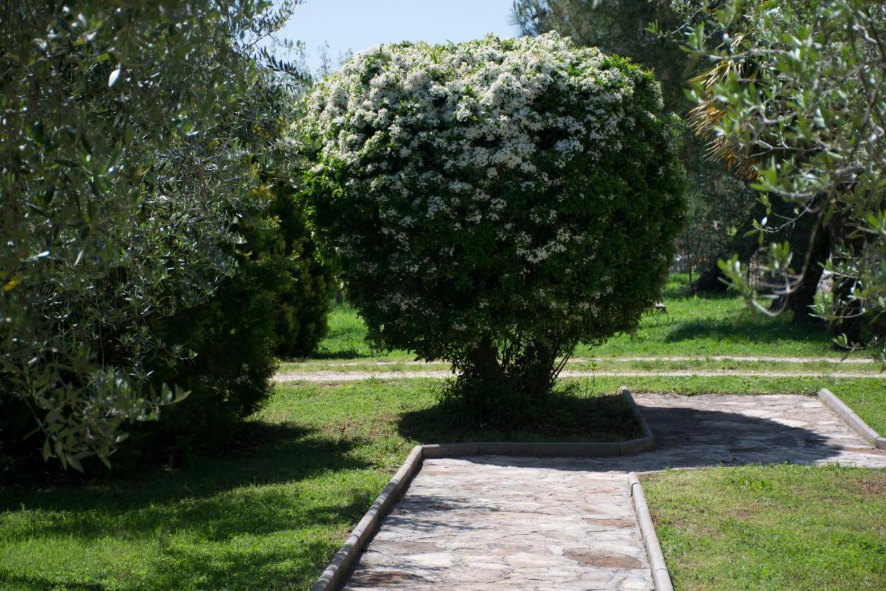 Sanja Apartments Sveti Servul Novigrad Istria Eksteriør billede